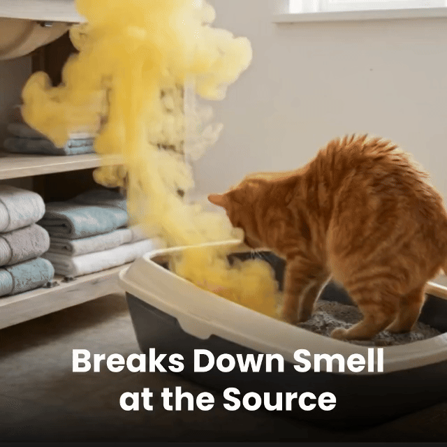 Celyvon® Advanced Pet Odor Neutralizer
