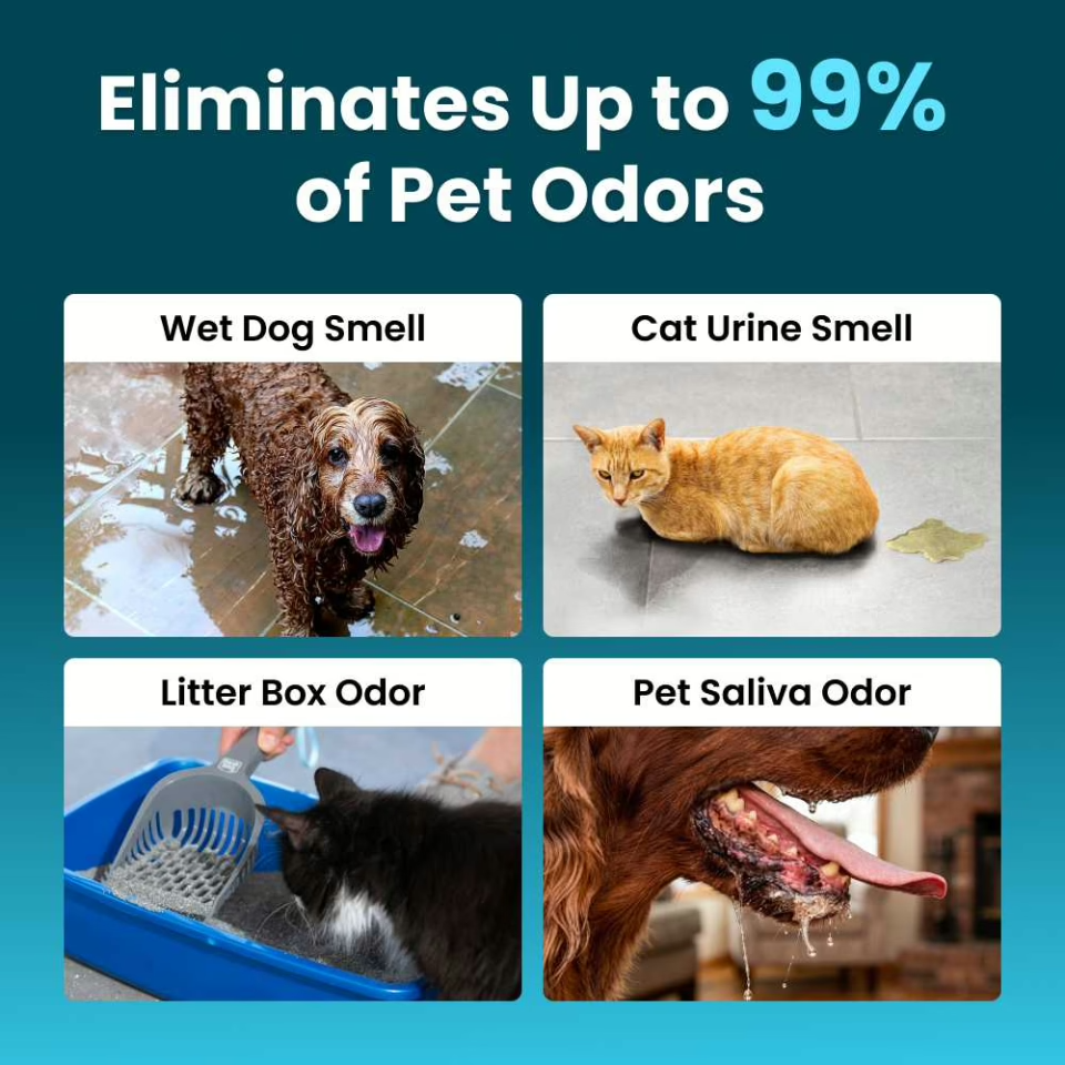 Celyvon® Advanced Pet Odor Neutralizer