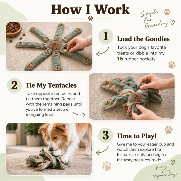 Three steps for preparing and playing with the Dogtopus enrichment toy
